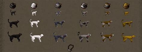 osrs kitten color.